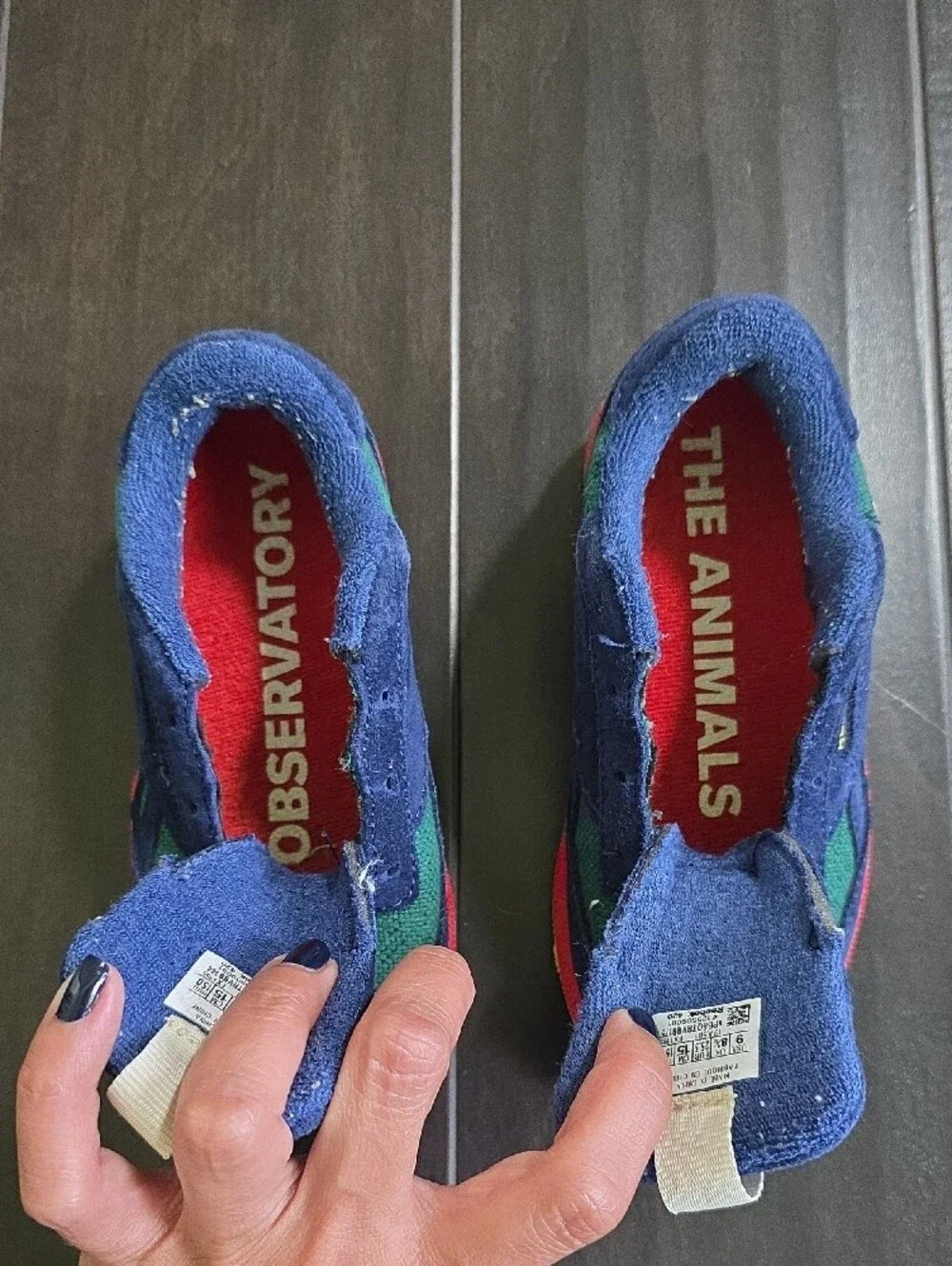 Kids Navy & Green Low-Top Sneakers
